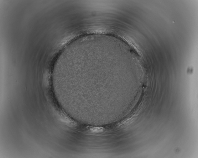 X0000094430355200711291538