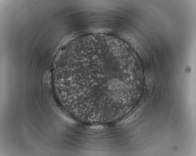 X0000094430357200711291538