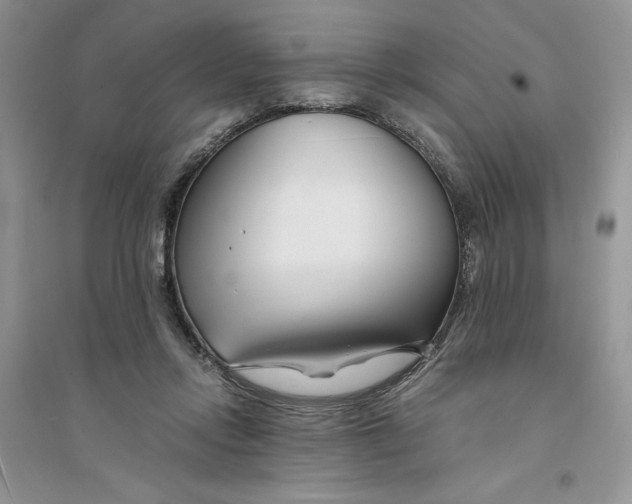 X0000094430358200711291538