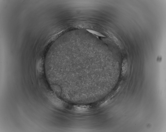 X0000094430359200711291538