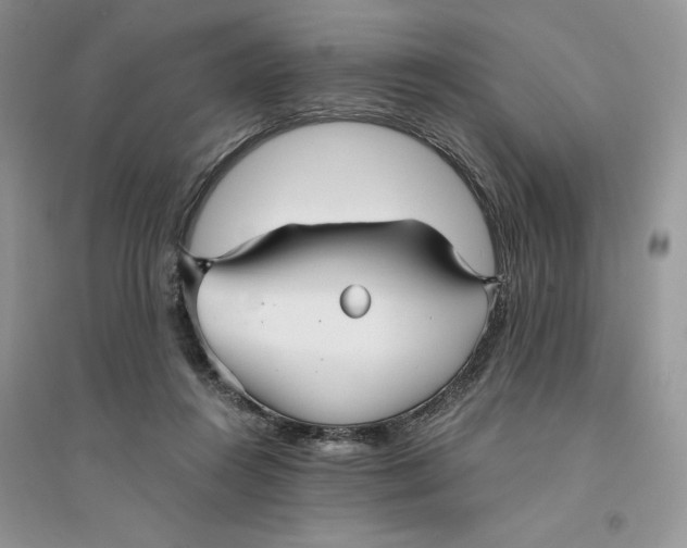 X0000094430360200711291538