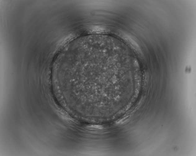 X0000094430361200711291538