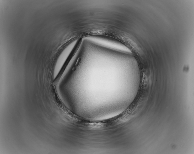 X0000094430363200711291538