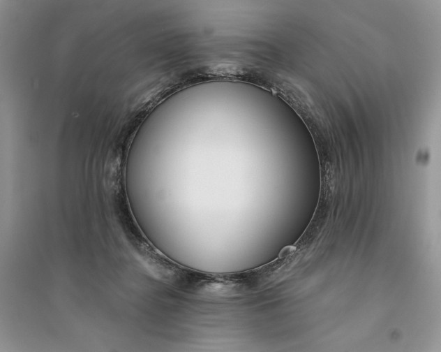 X0000094430364200711291538