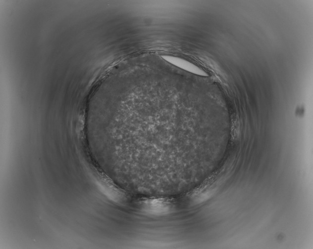 X0000094430365200711291538