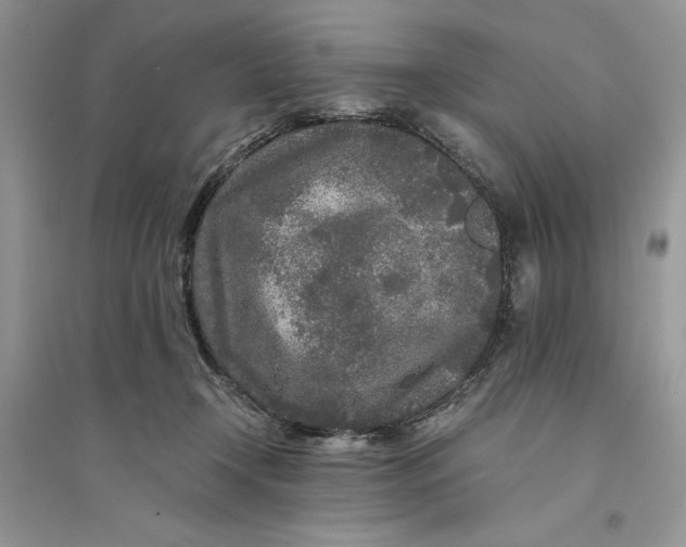 X0000094430366200711291538