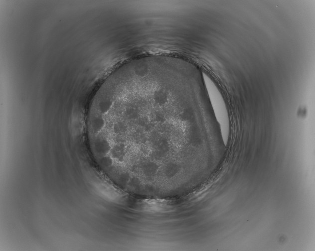 X0000094430367200711291538