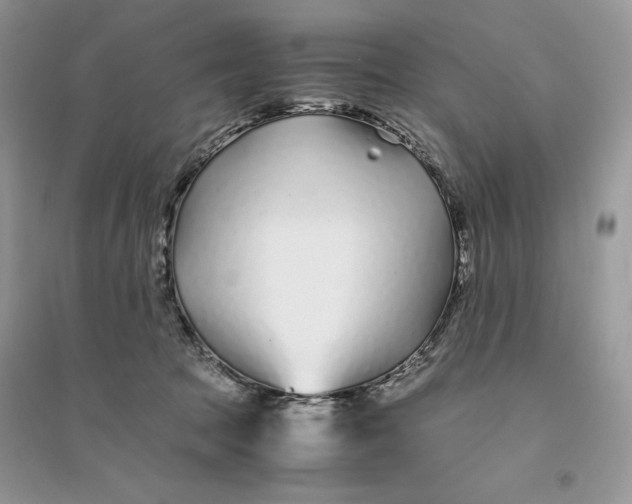 X0000094430369200711291538