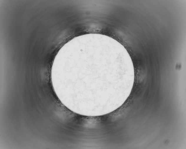 X0000094430370200711291538