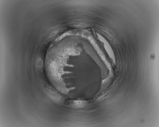 X0000094430371200711291538