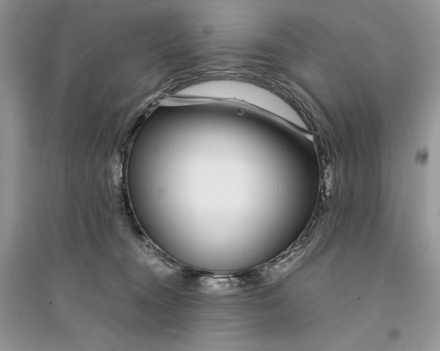 X0000094430372200711291538