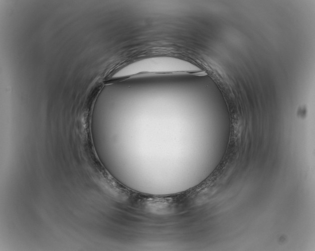 X0000094430373200711291538