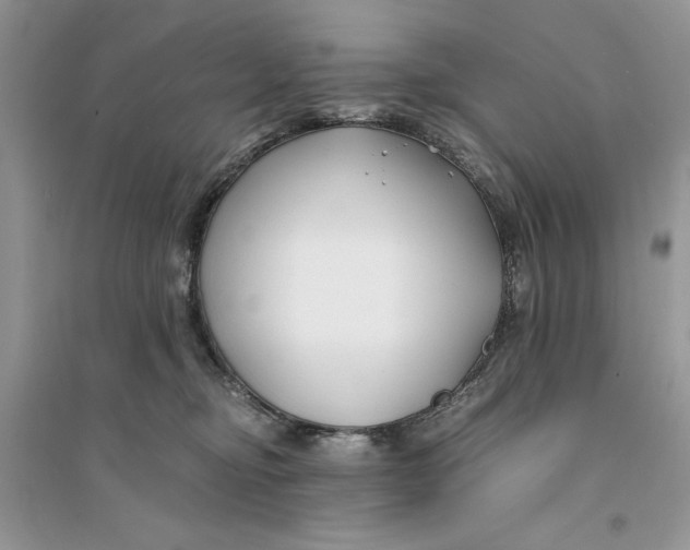 X0000094430374200711291538