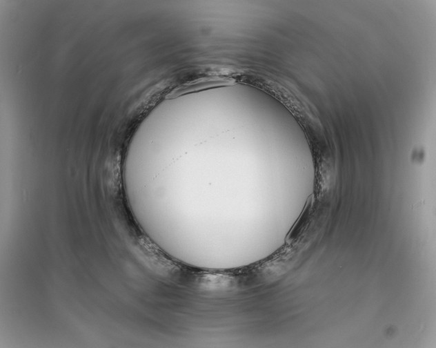 X0000094430376200711291538