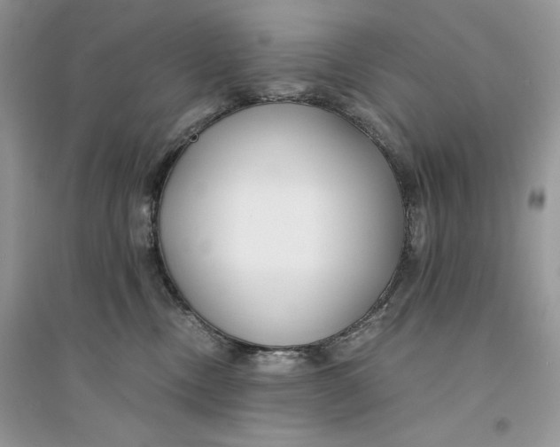 X0000094430378200711291538