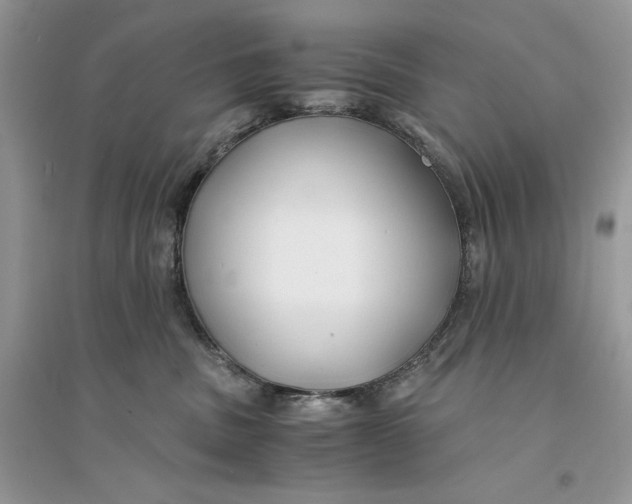 X0000094430379200711291538