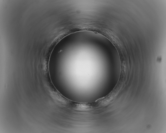 X0000094430380200711291538