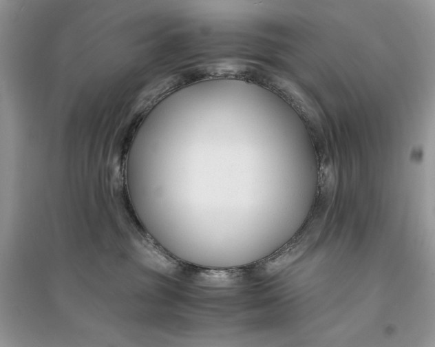 X0000094430381200711291538