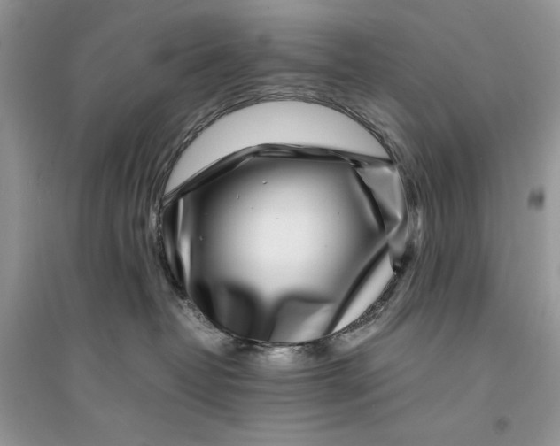 X0000094430382200711291538