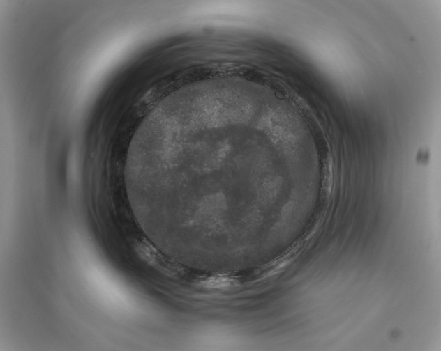 X0000094430383200711291538