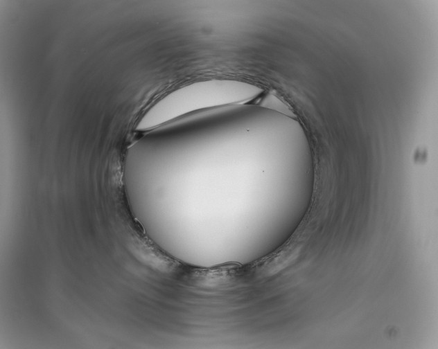 X0000094430384200711291538