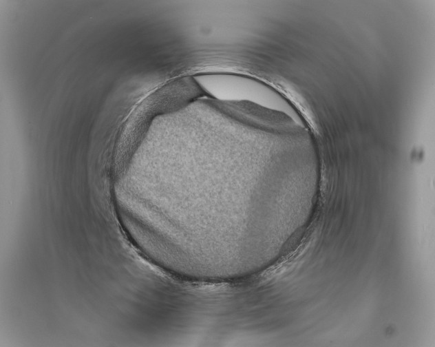 X0000094430385200711291538