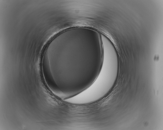 X0000094430387200711291537