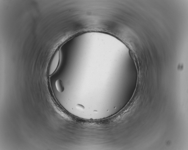 X0000094430389200711291537