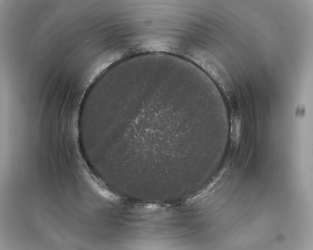 X0000094430390200711291537