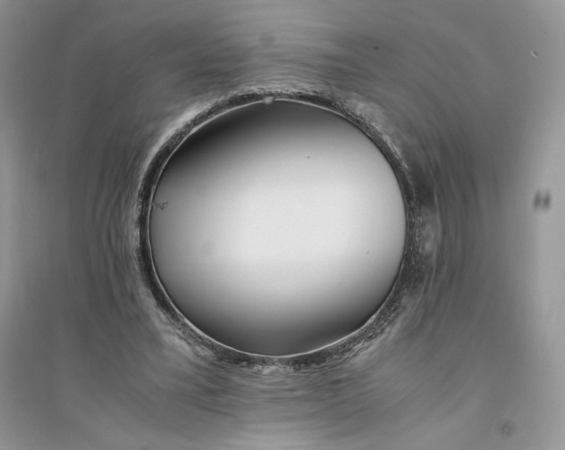 X0000094430395200711291537