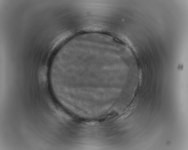 X0000094430396200711291537