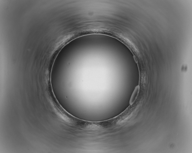 X0000094430397200711291537