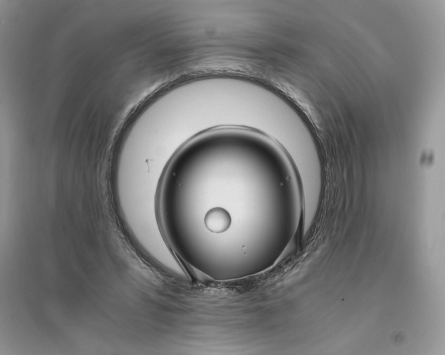 X0000094430399200711291537