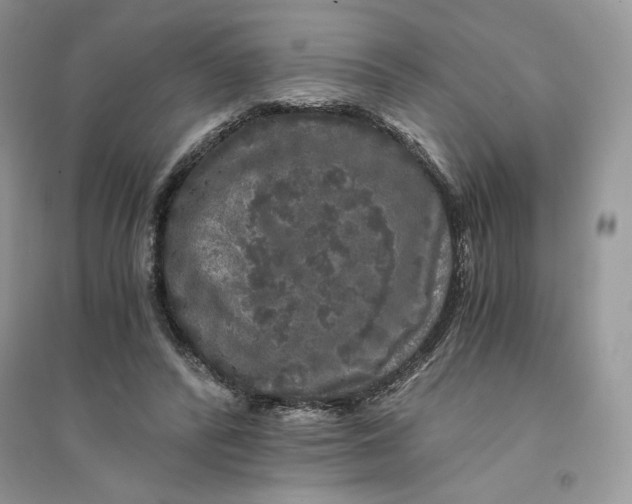 X0000094430400200711291537