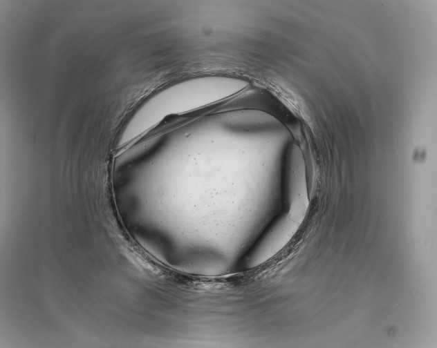 X0000094430401200711291537