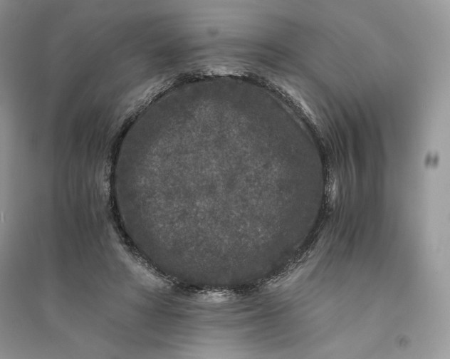 X0000094430402200711291537