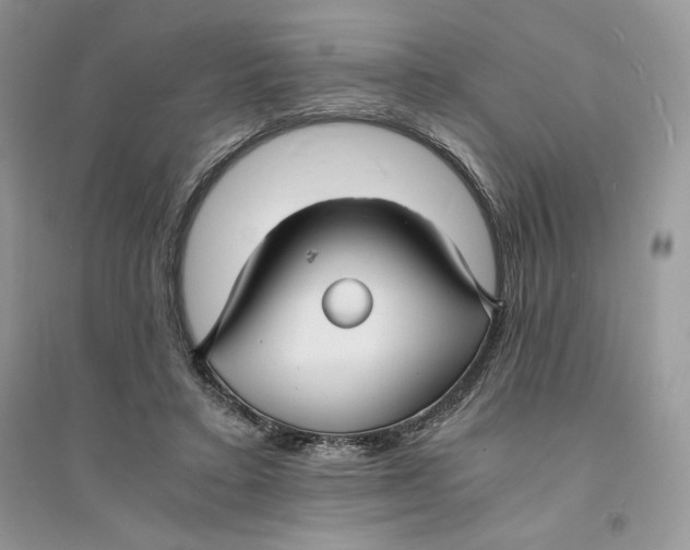 X0000094430403200711291537