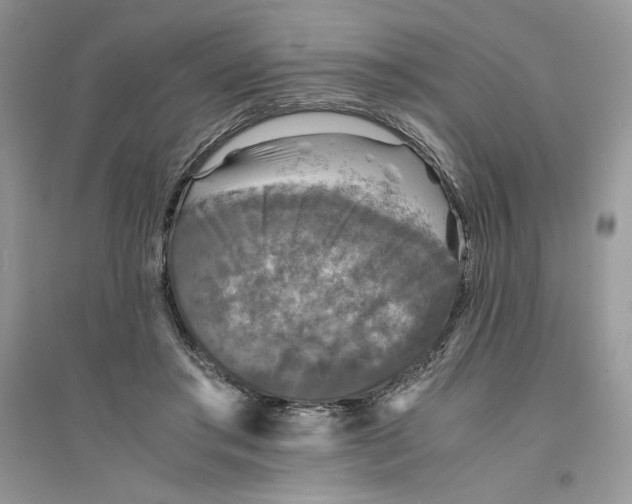 X0000094430405200711291537