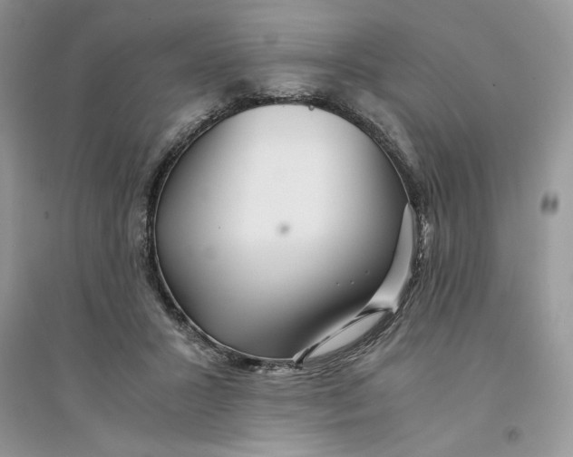 X0000094430407200711291537