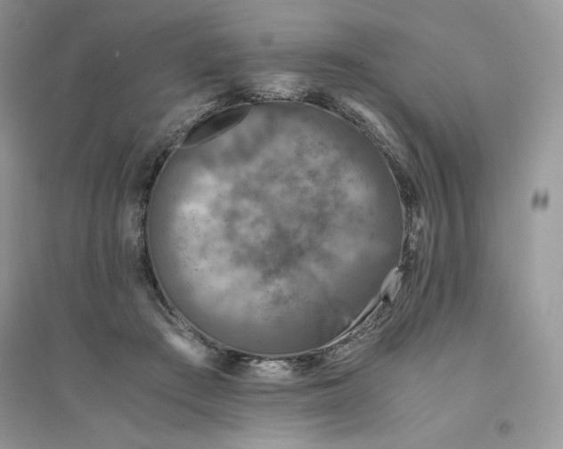 X0000094430409200711291537