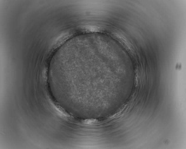 X0000094430410200711291537