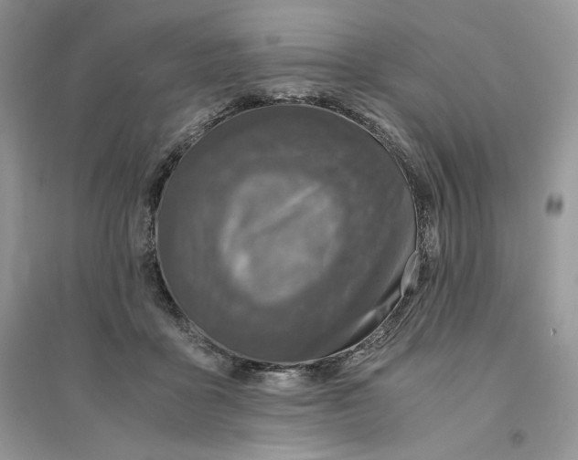 X0000094430411200711291537