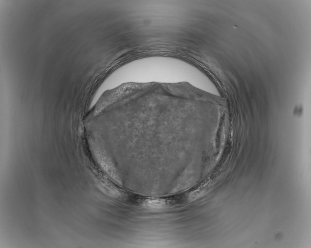 X0000094430413200711291537