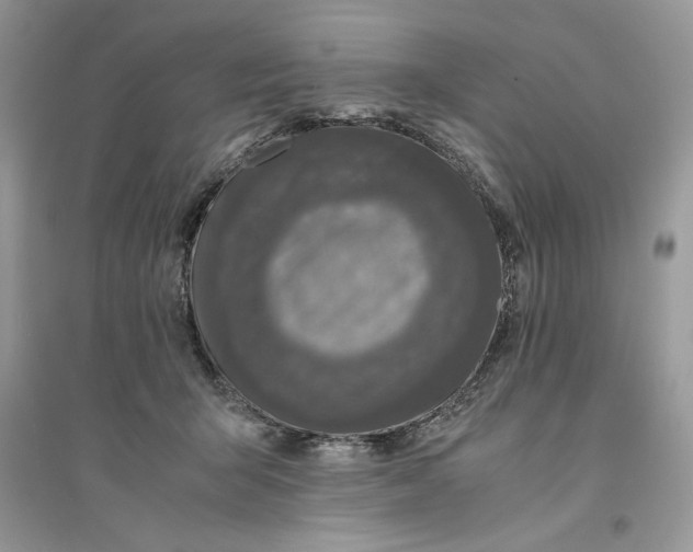 X0000094430415200711291537