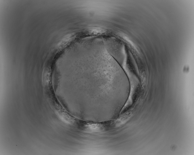 X0000094430417200711291537