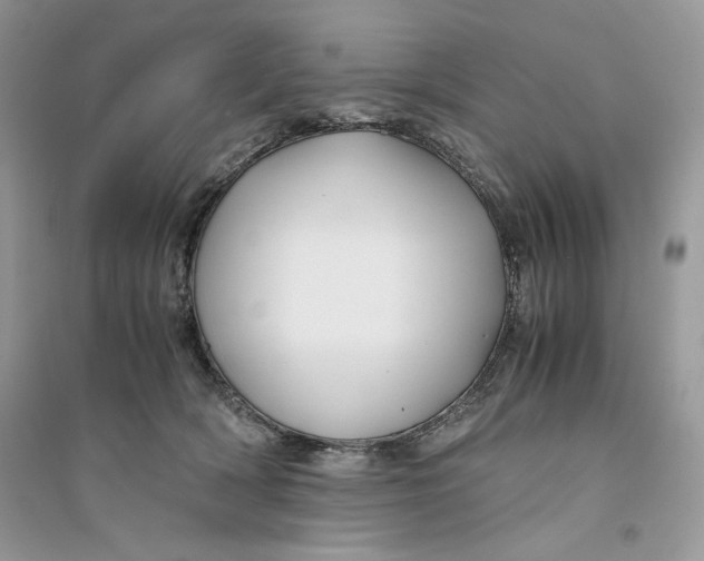 X0000094430418200711291537