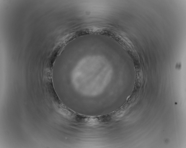 X0000094430419200711291537