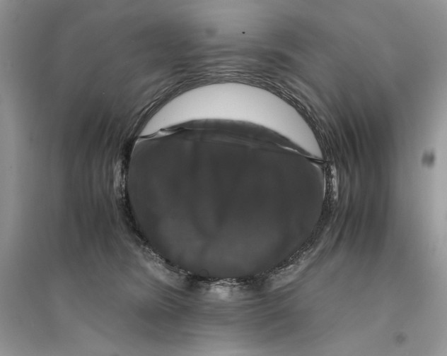 X0000094430420200711291537