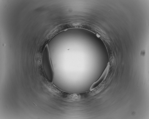 X0000094430421200711291537