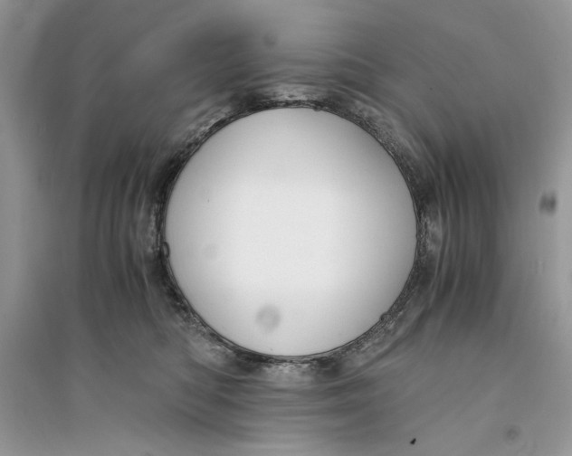 X0000094430422200711291537